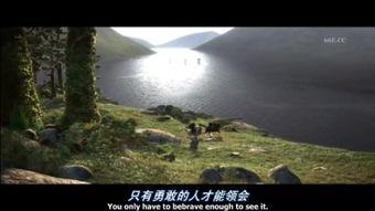 勇敢传说 国语音轨,音韵交织的冒险之旅