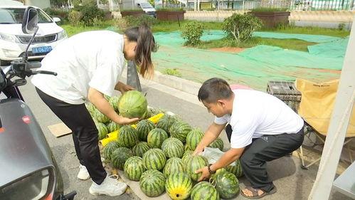 91黑科吃瓜官网入口,带你走进神秘的网络世界