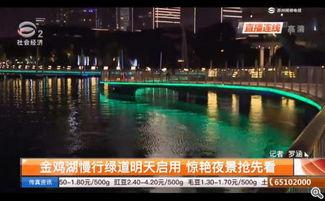 苏州夜景视频,光影交织的梦幻画卷