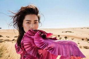 迪拜服装图片大全,服装图片大全解析