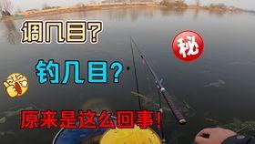 新手调漂找底法视频,调漂找底法视频教程概述