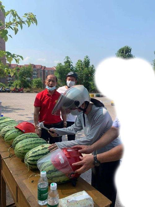 柳州今日吃瓜事件最新,一场网络狂欢背后的真相与反思