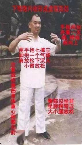 浑圆桩教学视频,传统武术桩功的精髓与实战应用解析