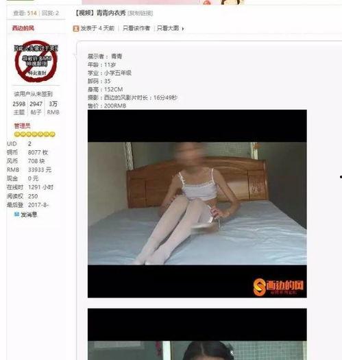 西边的风视频,探寻风之诗意的视觉之旅