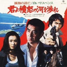 追捕日本电影,正义与命运的较量