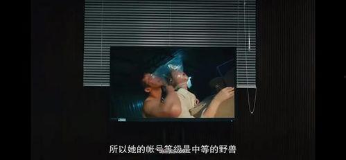 乱视频,揭秘网络乱象背后的真相与反思