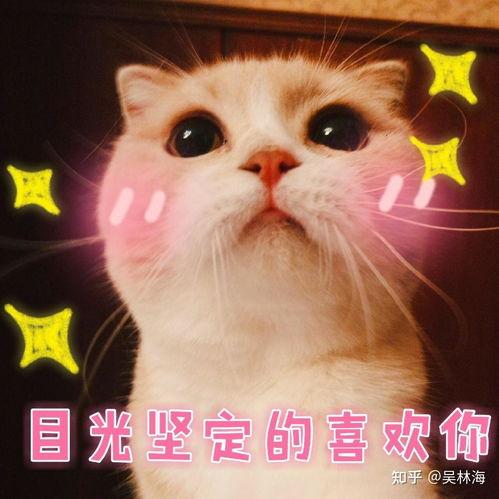 超萌可爱表情图片大全,萌化你的每一天