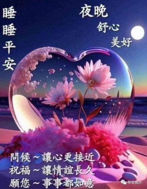 晚上好的图片,美好时光尽在“晚上好”