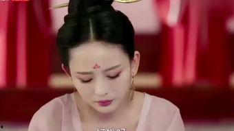 韩国罚跪,传统礼仪与现代争议的碰撞