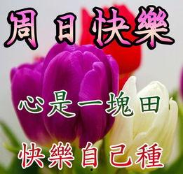 星期天的祝福图片大全,温馨瞬间，美好时光集锦