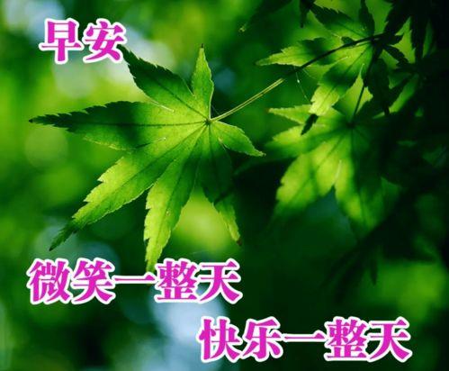 早安最火图片,阳光正好，活力满满的一天从这张最火图片开始