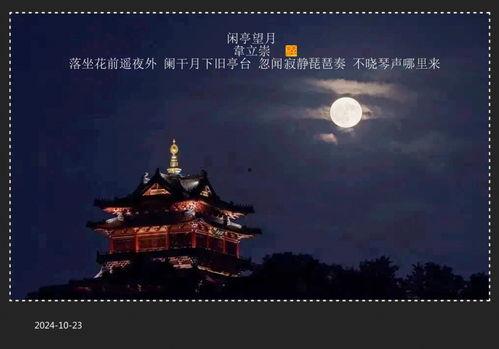望月图片大全,望月图片大全中的浪漫画卷
