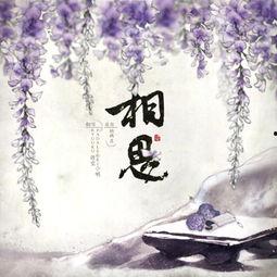 相思的图片,一幅描绘深情眷恋的画卷