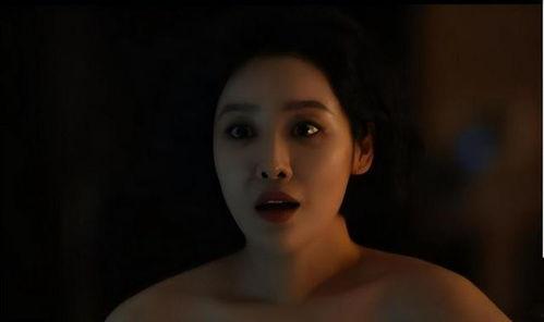 韩国限制级电影大全,韩国限制级电影深度解析