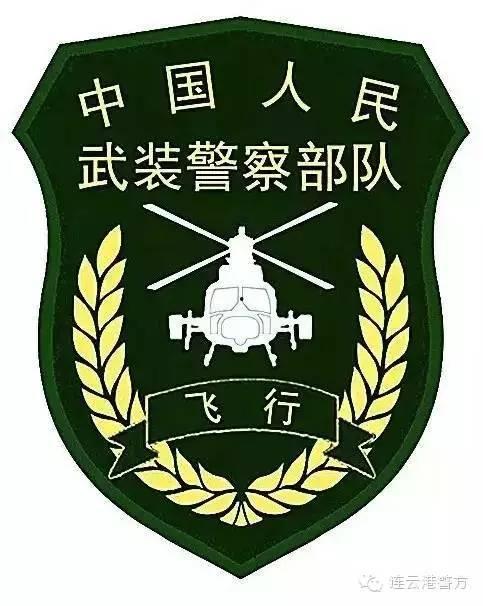 武警特战臂章图片大全,揭秘我国精英战士的荣誉徽章