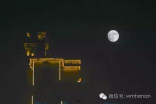 明亮 在线观看,在线观看“明亮”的视觉盛宴