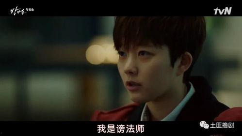 谤法韩国剧情,谤法之谜，权力与爱情的纠葛