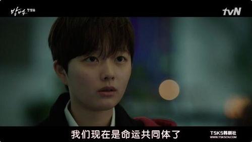 谤法韩国剧情,谤法之谜，权力与爱情的纠葛