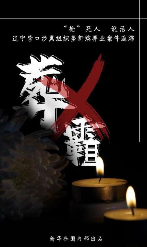 久葬在线观看,穿越时空的生死之谜，在线观看带你揭秘