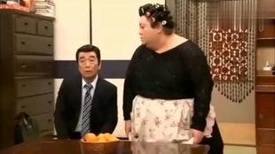 日本 小品,经典小品背后的文化魅力
