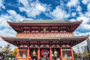 日本丸高,传承与创新的教育典范