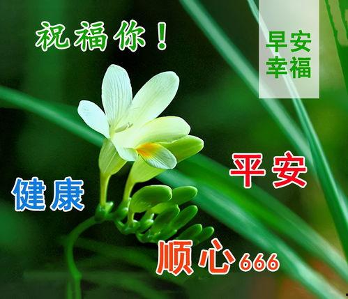 表示好心情图片大全,好心情图片集锦赏析