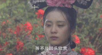 玉儿在线观看,穿越时空的美丽传奇
