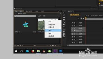 pr导入不了视频,揭秘视频导入常见问题及解决方案