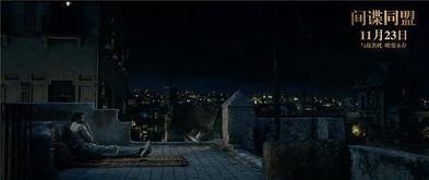 爱情间谍国语版