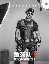 敢死队3国语在线观看,热血激战，巅峰对决！在线观看，燃情再现！