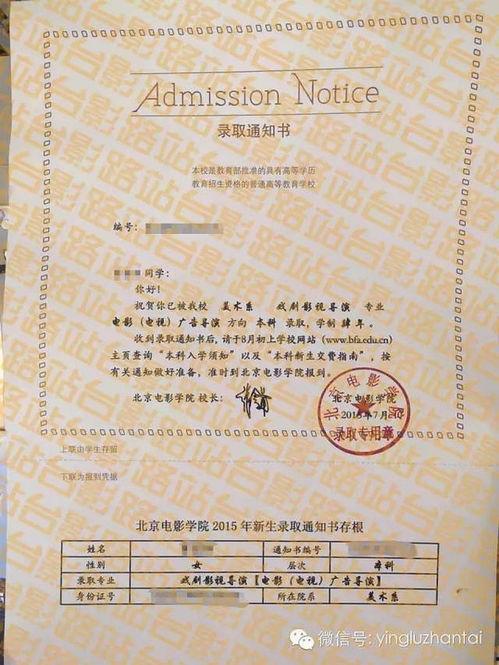 录取通知书电影在线观看