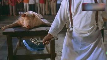 功夫厨师 国语,烹饪技艺与武术精神的完美融合