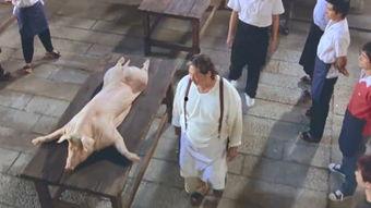 功夫厨师 国语,烹饪技艺与武术精神的完美融合