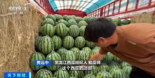 吃瓜今日瓜热门瓜,吃瓜群众聚焦娱乐圈最新热点事件