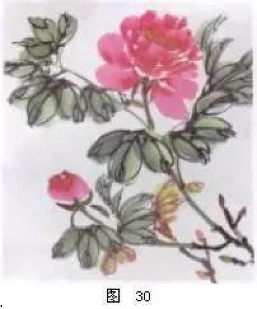 牡丹画法教学视频