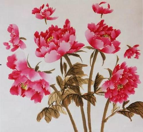 牡丹画法教学视频