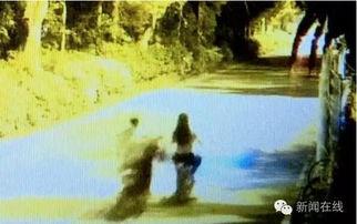 夜夜骑视频在线观看,沉浸式骑行体验，带你领略速度与激情