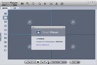 大华视频播放器,便捷观影新体验