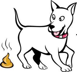 狗屎图片,宠物排泄物的处理之道