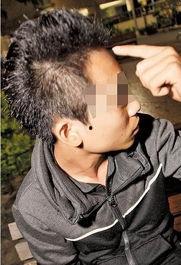 狗屎图片,宠物排泄物的处理之道