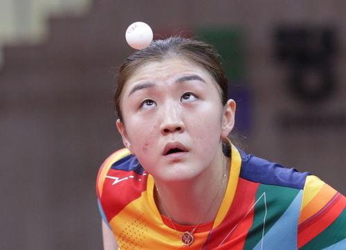 陈梦日本,竞技巅峰与文化交流之旅