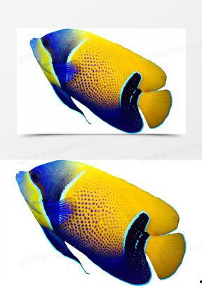 深海鱼类大全名称图片,深海鱼类大全图鉴解析