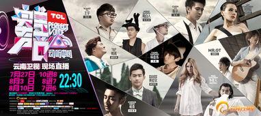 完美之声在线观看,在线观看，感受音乐的魅力之旅