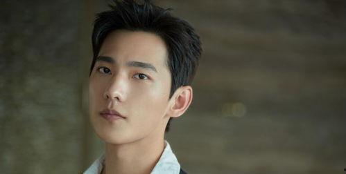 杨洋眉毛图片大全,探寻明星独特魅力的眉型奥秘