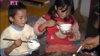 卧虎 国语 2006,2006年国产悬疑动作巨制