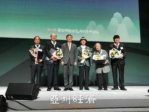 韩国明钟,探寻古代工艺与现代艺术的完美融合