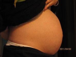 男士怀孕图片大全,男士怀孕现象图鉴