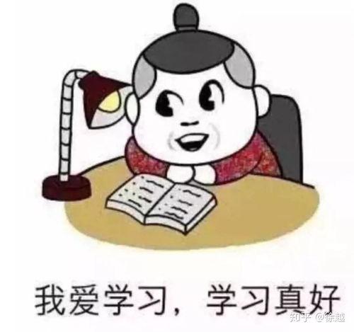 快乐至死在线观看神马,探索人生终极追求的在线观影之旅